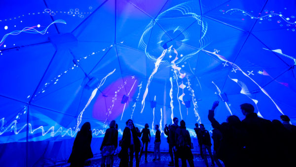 Vivid Sydney 2016 Electric Jellyfish