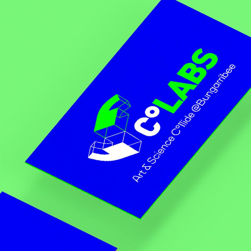 CoLABS Art & Science Branding